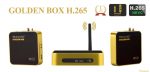 GOLDEN BOX HEVC HD