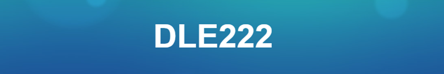 DLE-222 - 222CC Benzinli Model Motor - DLE-222 - 222CC Flat Four