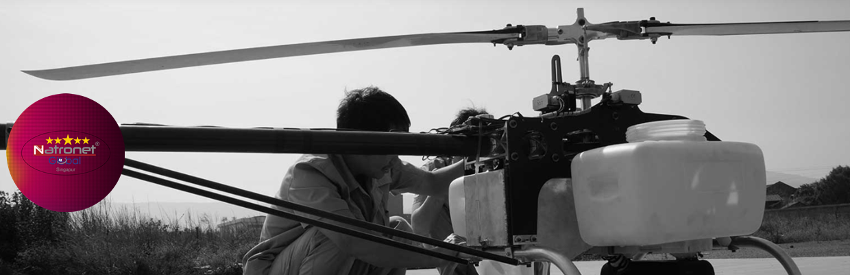 DLE 222™ Dört Silindirli Benzinli Profesyonel Uçak Motoru (DLE Türkiye)