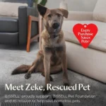 teknobin-product-bestseller-bissel-omni-rearcteknobincom_19