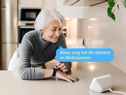 Alexa / Google Asistanı